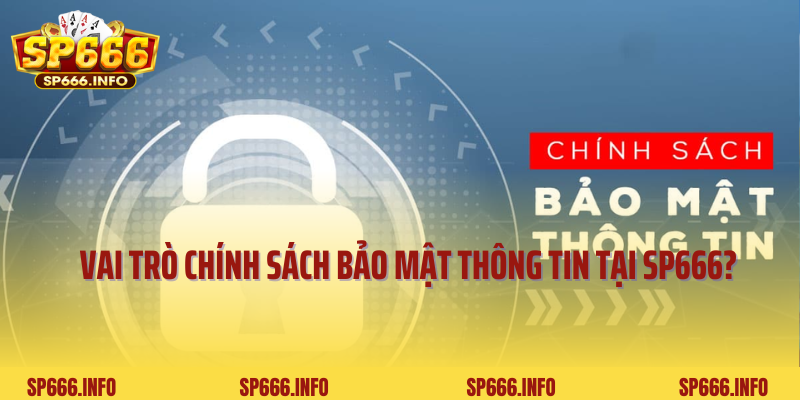 Vai trò quan trọng của chính sách bảo mật thông tin tại SP666?