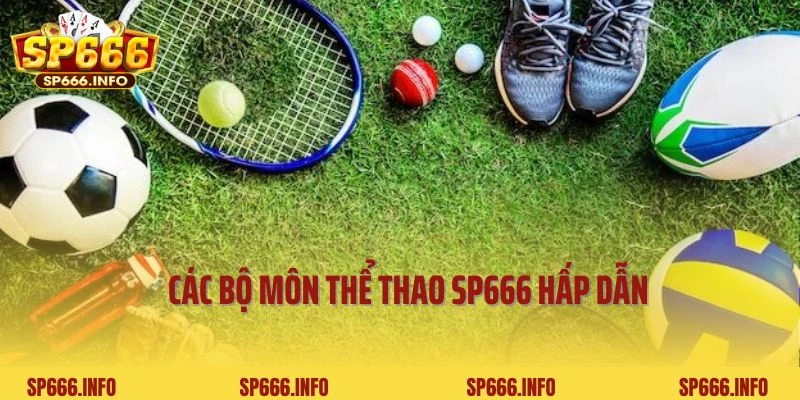 Các bộ môn thể thao SP666 hấp dẫn dành cho người chơi