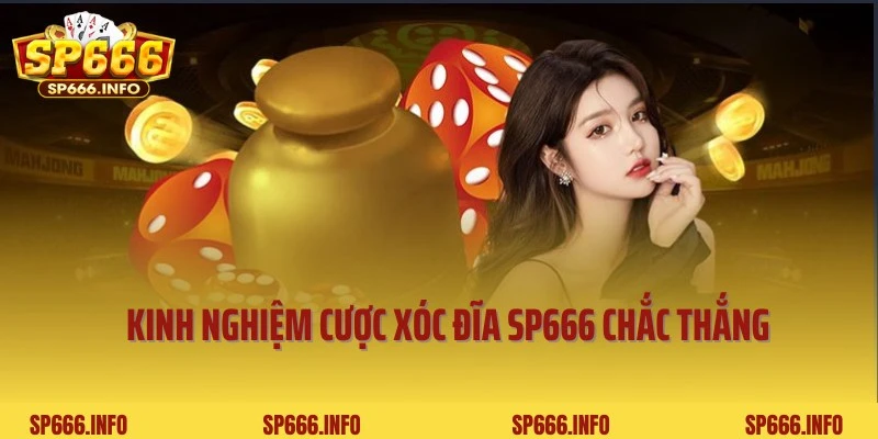 Kinh nghiệm cần trang bị khi tham gia cược Xóc đĩa SP666